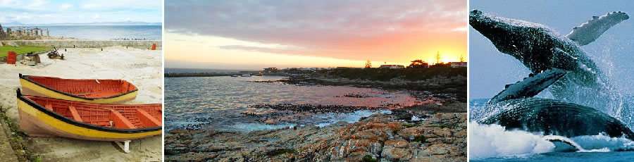Hermanus Accommodation and Tourist Guide