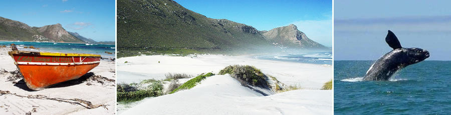 Witsand Accommodation and Tourist Guide