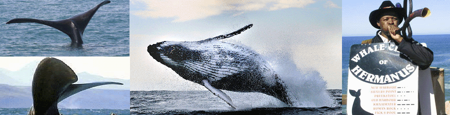 Oudtshoorn Accommodation and Tourist Guide